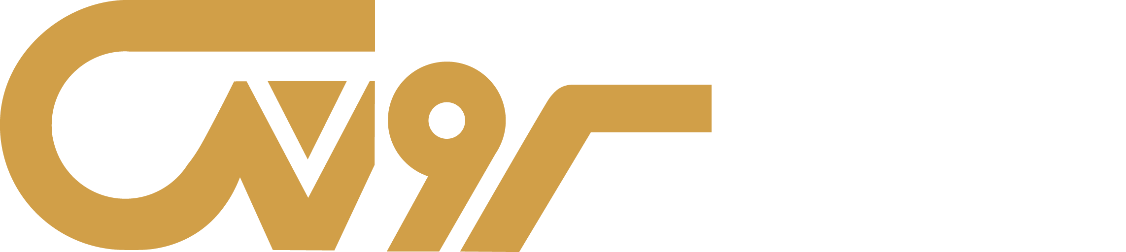 Logo_SoroushStone